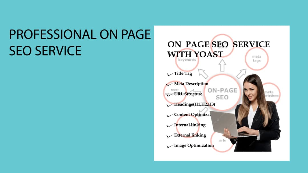 Professional on page seo service