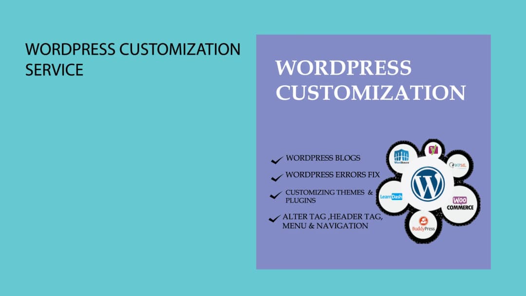 Professional wordpress customization service