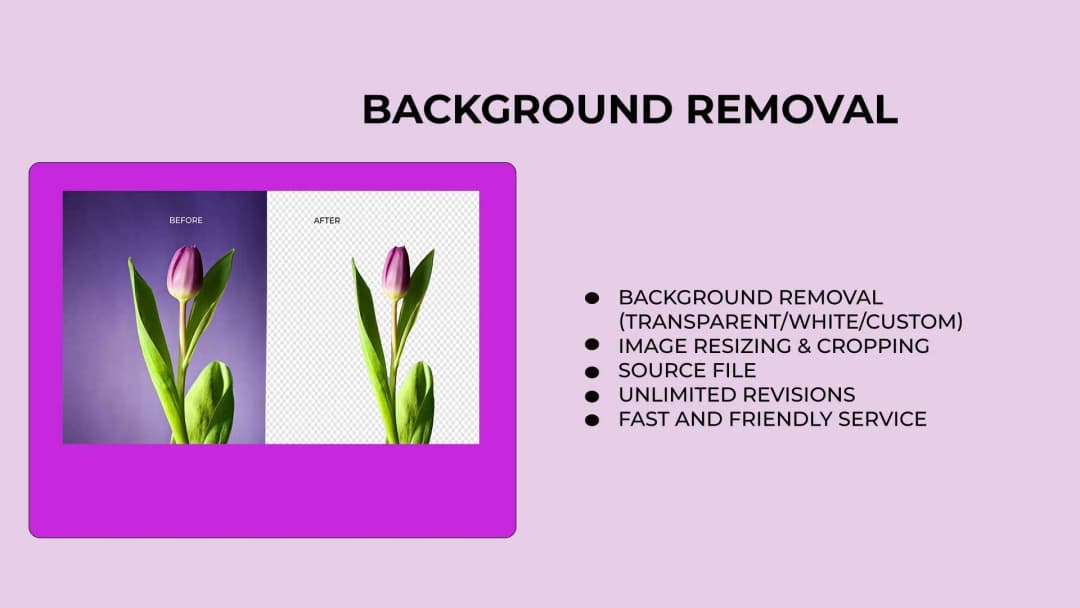 I will completely remove Background object with quickly delivery